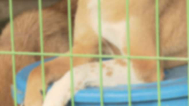 사진은 기사 내용과 직접 관련 없음