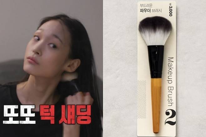 애니, 브러시. 사진|MBC, 다이소