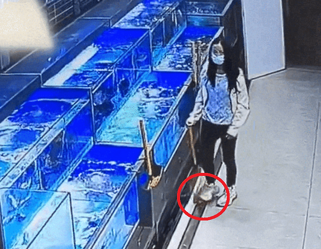 중국 광둥성 한 대형마트 수산코너에서 젊은 여성이 뜰채로 건진 수족관 활어를 발로 밟고 있는 모습. [온라인 커뮤니티 갈무리]