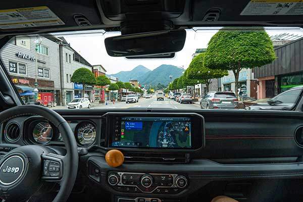 차 안에서 본 단양읍. 귀여운 모양의 가로수는 복자기나무다. 관광객에게 초록 버섯나무로 불리며 인기가 많다.