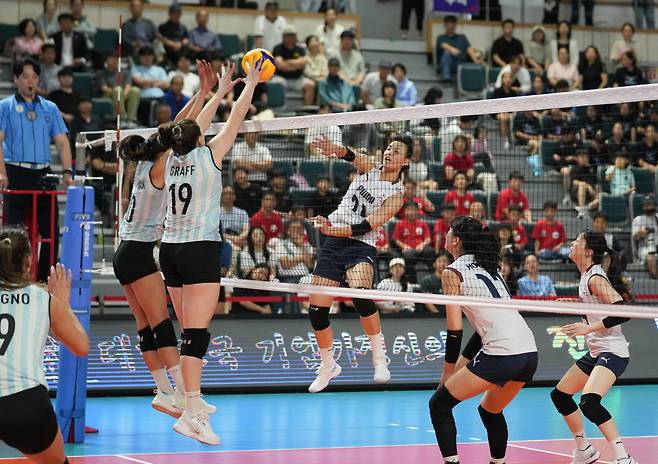 지난 12일 경남 진주체육관에서 열린 2025 코리아인비테이셔널 국제여자배구대회 한국과 아르헨티나의 경기. 대표팀 문지윤이 스파이크를 시도하고 있다. 대한배구협회 제공