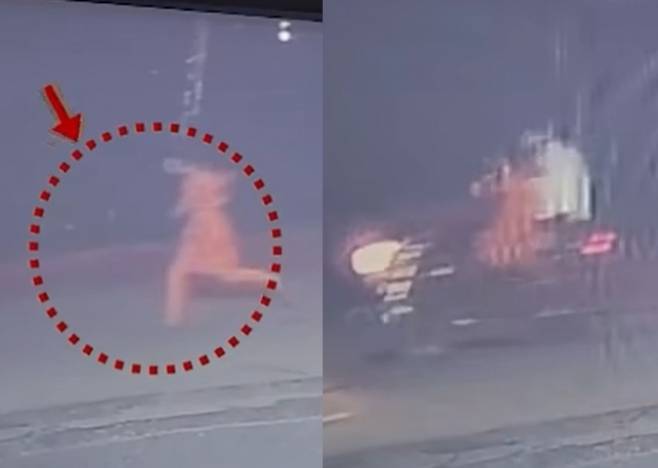 지난 11일(현지시간) 인도 북부 우타르 프라데쉬 주 발람푸르 지역에서 20대 남성 2명이 청각장애가 있는 20대 여성을 성폭행한 사건이 발생했다. 피해 여성이 다급하게 도망치자 가해 남성들이 오토바이를 탄 채 여성을 쫒는 모습이 담긴 폐쇄회로(CC)TV 영상이 소셜미디어(SNS)에 확산돼 공분을 사고 있다. 자료 : 인도 사마지와디당 아크힐레시 야다브 대표 SNS