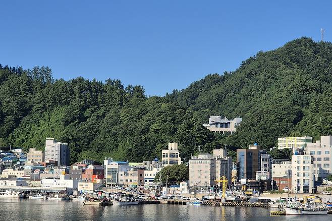 울릉 저동항 전경 [촬영 손대성]