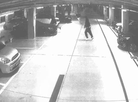 신남부동파 조직원들이 전 조직원을 쫓는 모습 [서울경찰청 형사기동대 제공. 재판매 및 DB 금지]