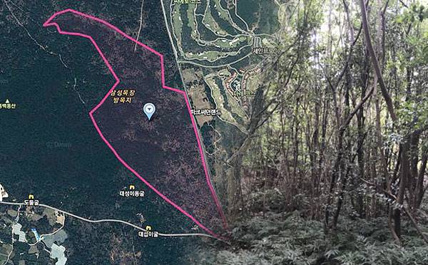 제주시 구좌읍 동복리 제주자연체험파크 사업 부지.&nbsp;