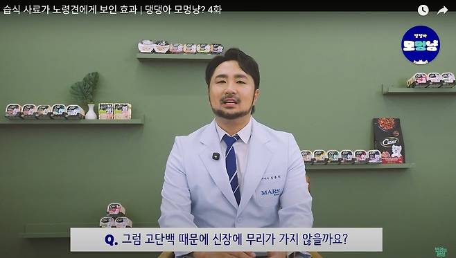 심용희 한국마즈 수의사가 유튜브 반려의 완성에 출연해 노령견을 위한 습식사료의 중요성에 대해 설명했다(유튜브 채널 갈무리). ⓒ 뉴스1