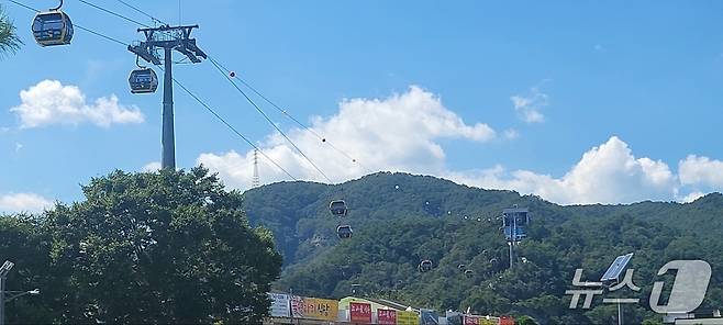 기사 이해를 돕기 위한 최근 강원 원주시 소금산그랜드밸리 자료 사진. (뉴스1 DB)