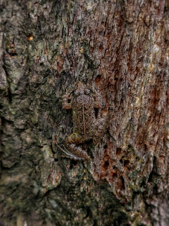 Sritam Kumar Sethy 제공