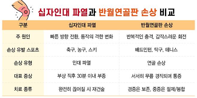 십자인대 파열과 반월연골판 손상 시 특징 비교. /자료=강동경희대병원
