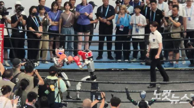 '2025 세계 휴머노이드로봇 올림픽' 격투기 종목에 출전한 로봇들. 임진수 베이징 특파원