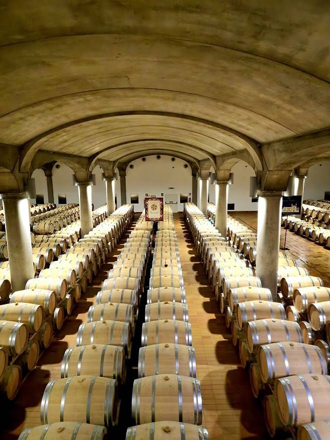 돈나푸가타 마르살라 셀러. 최현태 기자