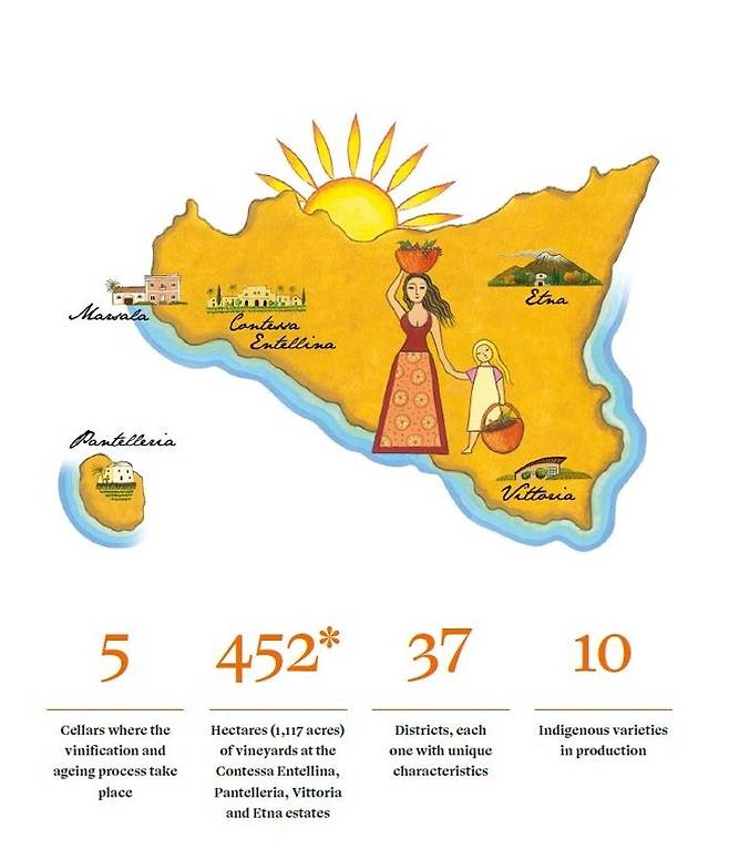 돈나푸가타 와인 생산지 5곳. 홈페이지