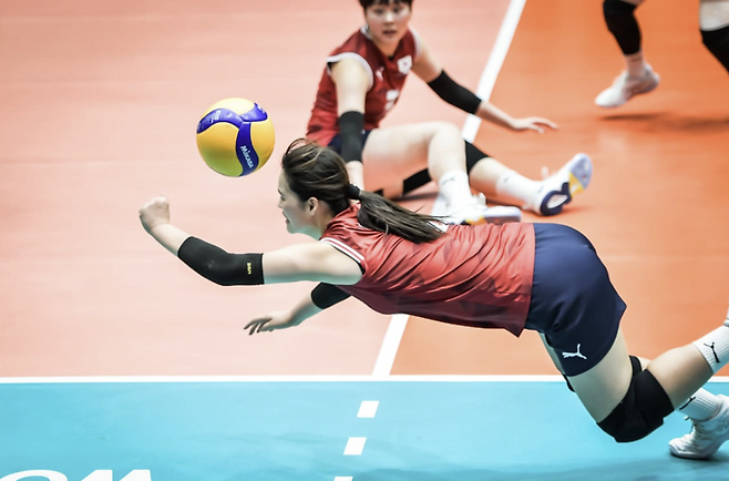 FIVB 홈페이지 캡처