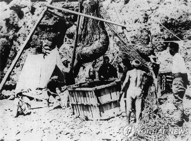 1934년 일본인들이 독도에서 포획한 강치를 나무상자에 넣는 모습 [국립해양박물관 제공·재판매 및 DB금지]