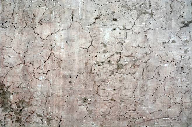 기사와 관련 없는 참고 사진. 게티이미지뱅크