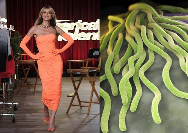 하이디 클룸 인스타그램 캡처, 클립아트코리아