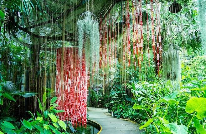 The Botanic Garden at Seoul Botanic Park in Gangseo-gu, Seoul (Seoul Botanic Park)