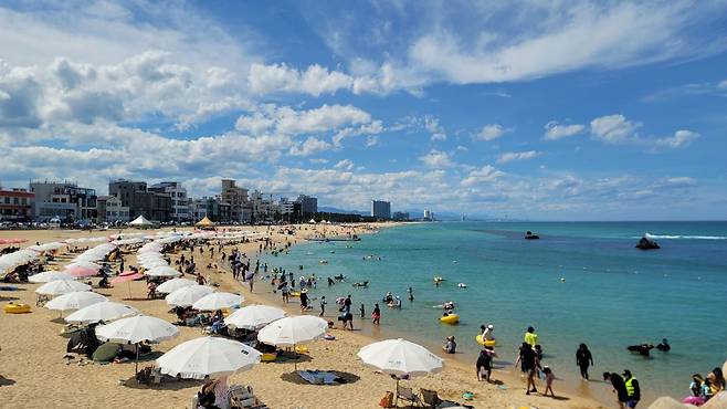 기사의 이해를 돕기 위한 이미지. 기사 내용과 직접 관련 없습니다. 연합뉴스