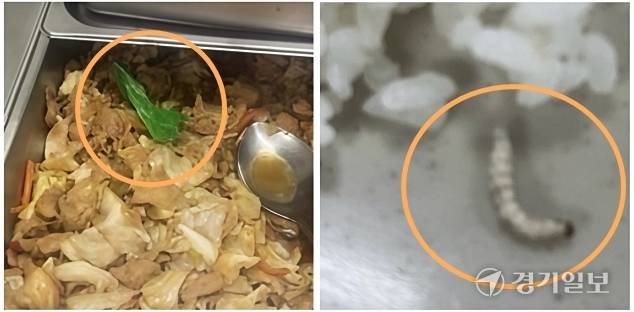 제육볶음에서 나온 초록생 비닐과 쌀밥 애벌레. 독자 제공