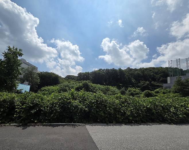 광주시 쌍령동 398-2 일원 수원 최씨 종중 토지<사진 박청교 기자>