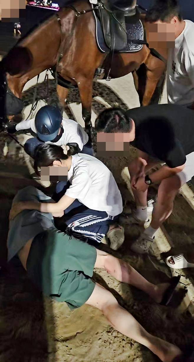 지난 15일 오후 7시 50분쯤 포항 영일대해수욕장 백사장을 산책하던 60대 남성이 버스킹 소음에 놀란 퇴역 경주마에 종아리와 어깨를 밟혀 큰 상처를 입는 사고가 발생했다. /피해자 제공.
