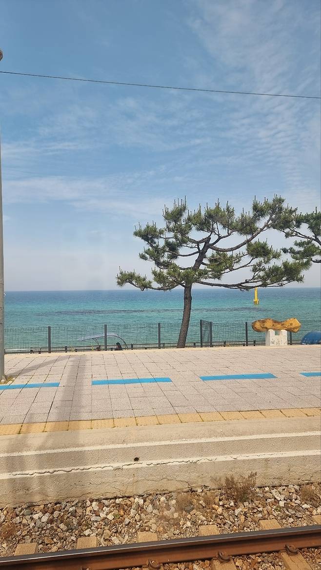 기차에서 본 동해바다. /전영숙 시조시인 제공