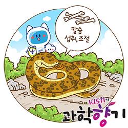 일러스트 유진성 작가