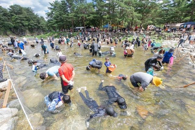 ▲ 고성군 장신2리 소똥령 유원지를 찾은 방문객들이 청정 하천에서 메기를 잡고 있다.