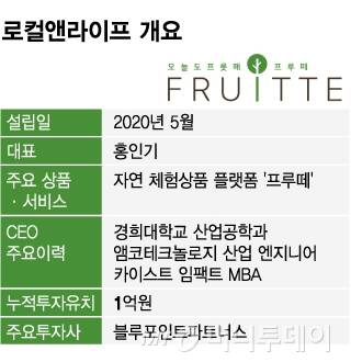 로컬앤라이프 개요 수정/그래픽=임종철