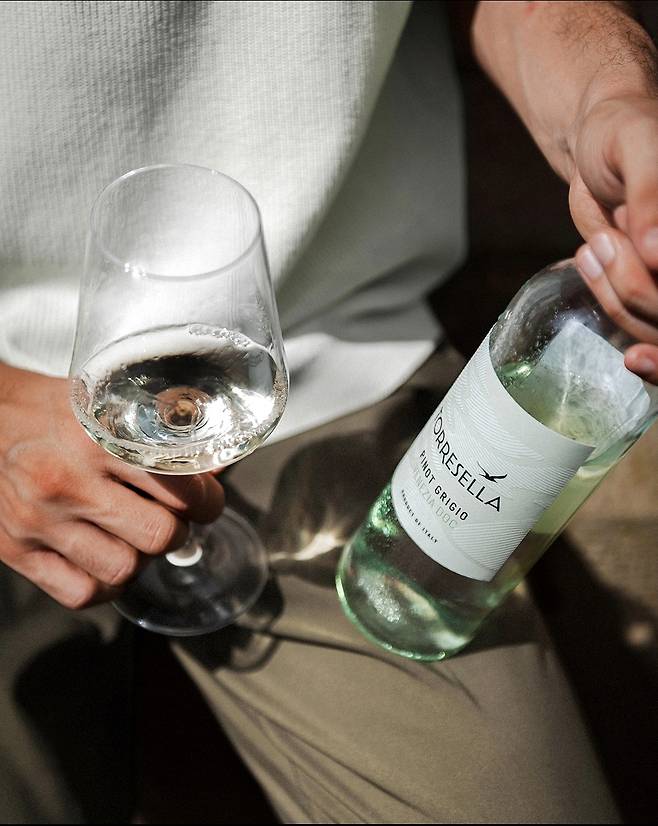 토레셀라 피노 그리지오. 인스타그램