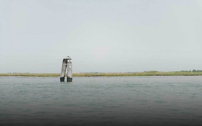 철새 서식지. 홈페이지