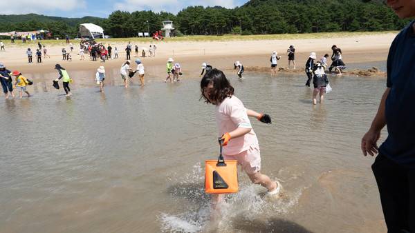 "새우들아 어딨니?" 주섬주섬 음악회 맨손대하잡이에 참가한 어린이가 새우를 잡기 위해 뛰어다니고 있다. 2025.8.16 [경인방송DB]