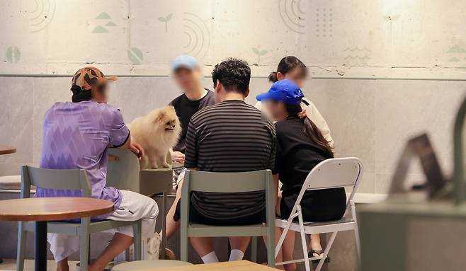 지난 16일 오후 경기 구리시의  반려견 동반 가능한 프랜차이즈 카페에서 시민들이 반려견과 함께 카페를 이용하고 있다./박성원 기자