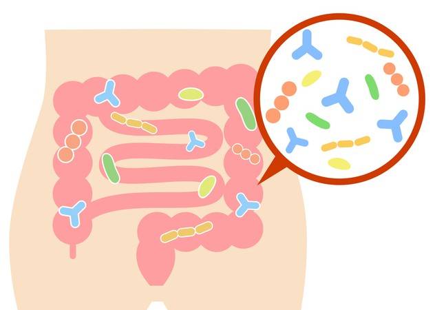 장내 프로바이오틱스가 자폐증 치료 단서가 될 수 있다는 연구결과가 제시됐다. 게티이미지뱅크 제공.