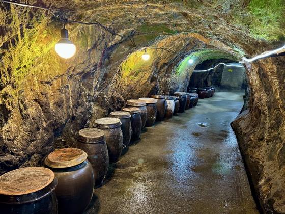 광천읍 중앙 토굴새우젓의 토굴 입구와 내부. [사진 박상현]