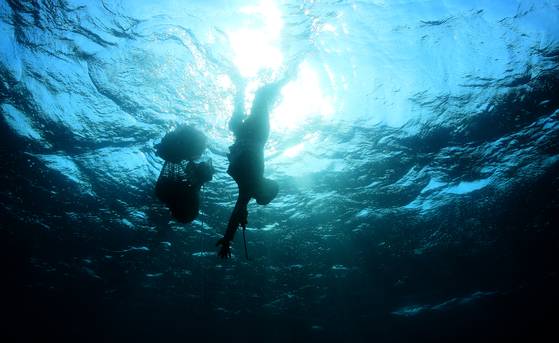 제주도 해안 바닷속에서 해산물을 채취하고 있는 해녀 모습. 제주 해녀들은 저체온증과 고혈압 위험을 줄이는 특별한 유전적 변이를 갖고 있다는 연구 보고서가 최근 발표됐다. [연합뉴스]