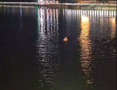 ▲ 아중호수에 빠진 남성 구하는 경찰관 [연합뉴스]