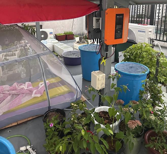 다세대주택의 공용 공간인 옥상을 화분으로 가득 채운 입주민 때문에 고통받고 있다는 사연이 전해졌다. [보배드림]