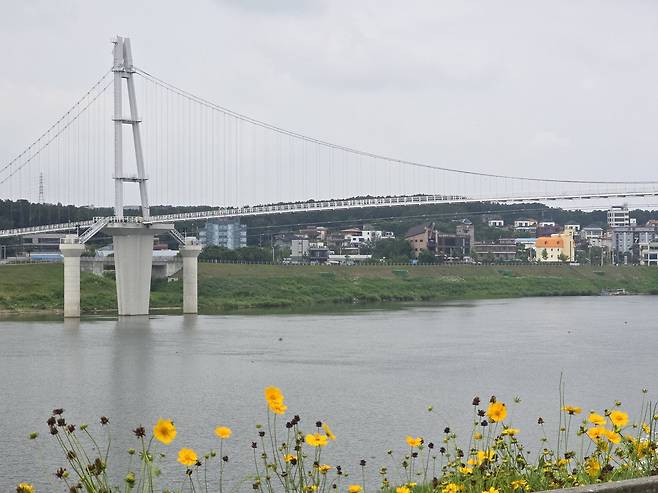 남한강 출렁다리