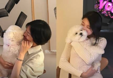 수지, 송혜교 소셜미디어