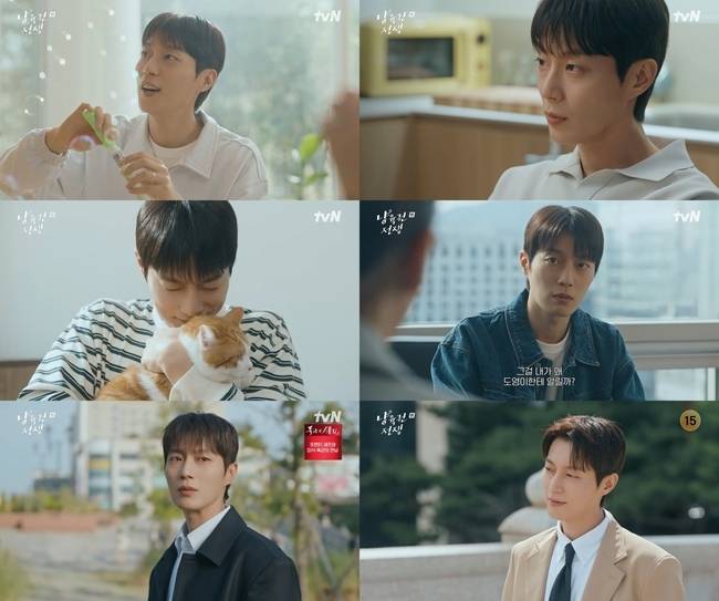 tvN ‘O’PENing(오프닝) 2025 - 냥육권 전쟁‘ 캡처