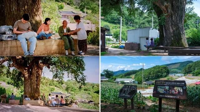 2001년 영화 ‘봄날은 간다’를 촬영했을 때 한치마을의 모습(왼쪽)과 현재의 모습.