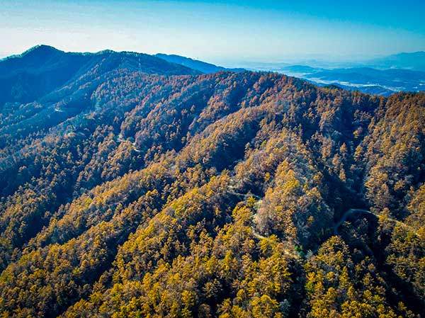 가을의 고래산. 사진 산림청.