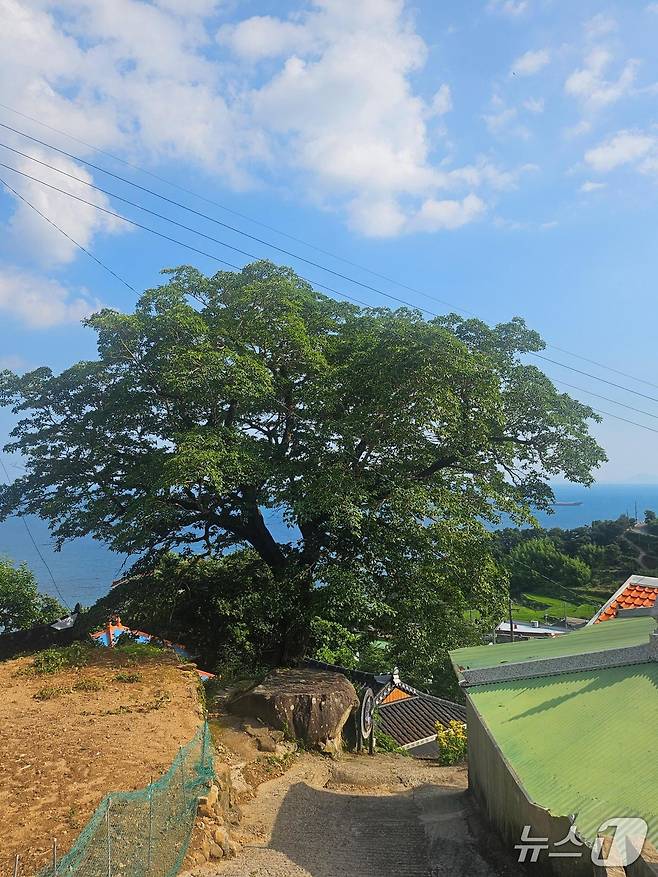 다랭이마을 이팝나무.(남해군 제공. 재판매 및 DB금지)