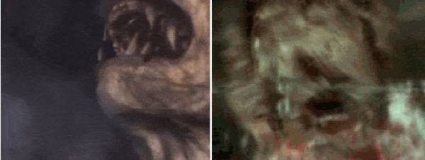 혐오감을 주는 변신 씬