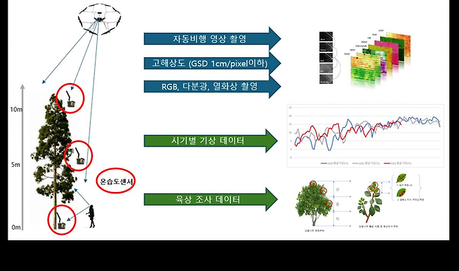 산지지역(종자공급원) 드론이미지 수집 및 인공지능을 활용한 생육현황 분석. 국립산림과학원 제공
