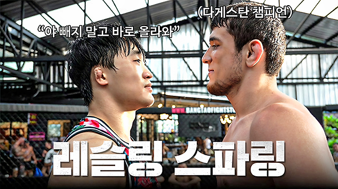 AFC 밴텀급 챔피언 송현종은 대한민국 UFC 1호 파이터 겸 방송인 김동현과 함께한 태국 전지훈련에서 나비 나비예프와 갈등을 빚어 관심을 끌었다. 나비는 UFC 페더급 2위 출신 자비트 마고멧샤리포프의 무술학교 후배 및 같은 마을 동생이다. 사진@stungunTV 화면