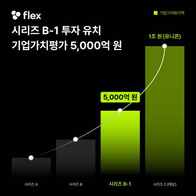 플렉스는 지난 6월 기업가치 5000억원을 인정 받아 100억원을 투자받았다고 밝혔다./사진제공=플렉스