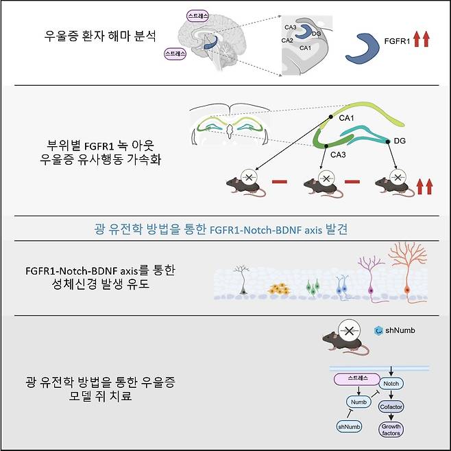 연구 내용 시각화 요약. [KAIST 제공]