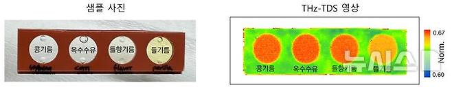 [서울=뉴시스] 콩기름·옥수수유·들향기름·들기름의 사진(왼쪽)과 테라헤르츠파 반사율 영상(오른쪽). 노란색일수록 반사율 수치가 낮고 빨간색일수록 반사율 수치가 높다는 뜻이다. (사진= 연세의료원 제공)